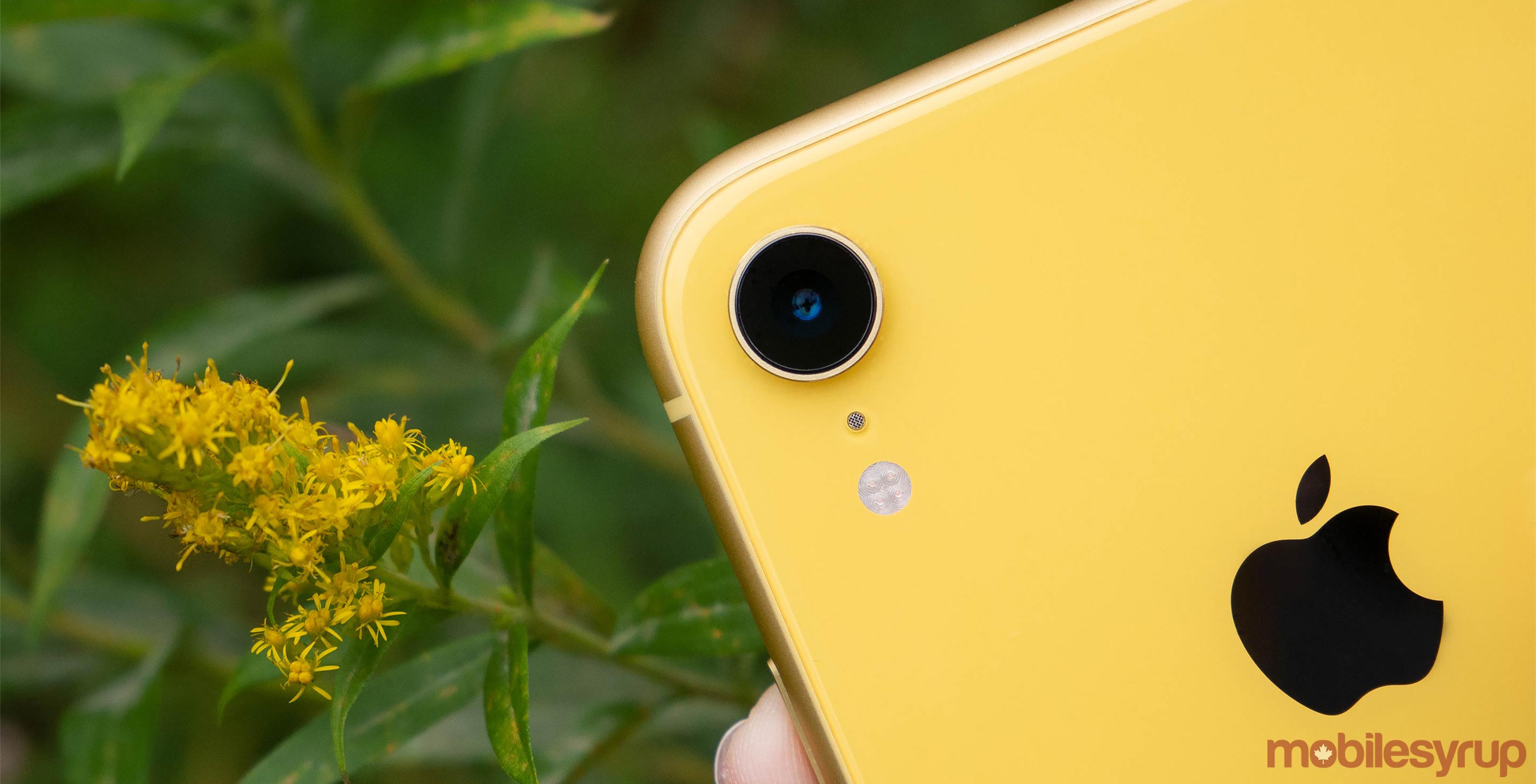 Apple's iPhone XR is now available in Canada