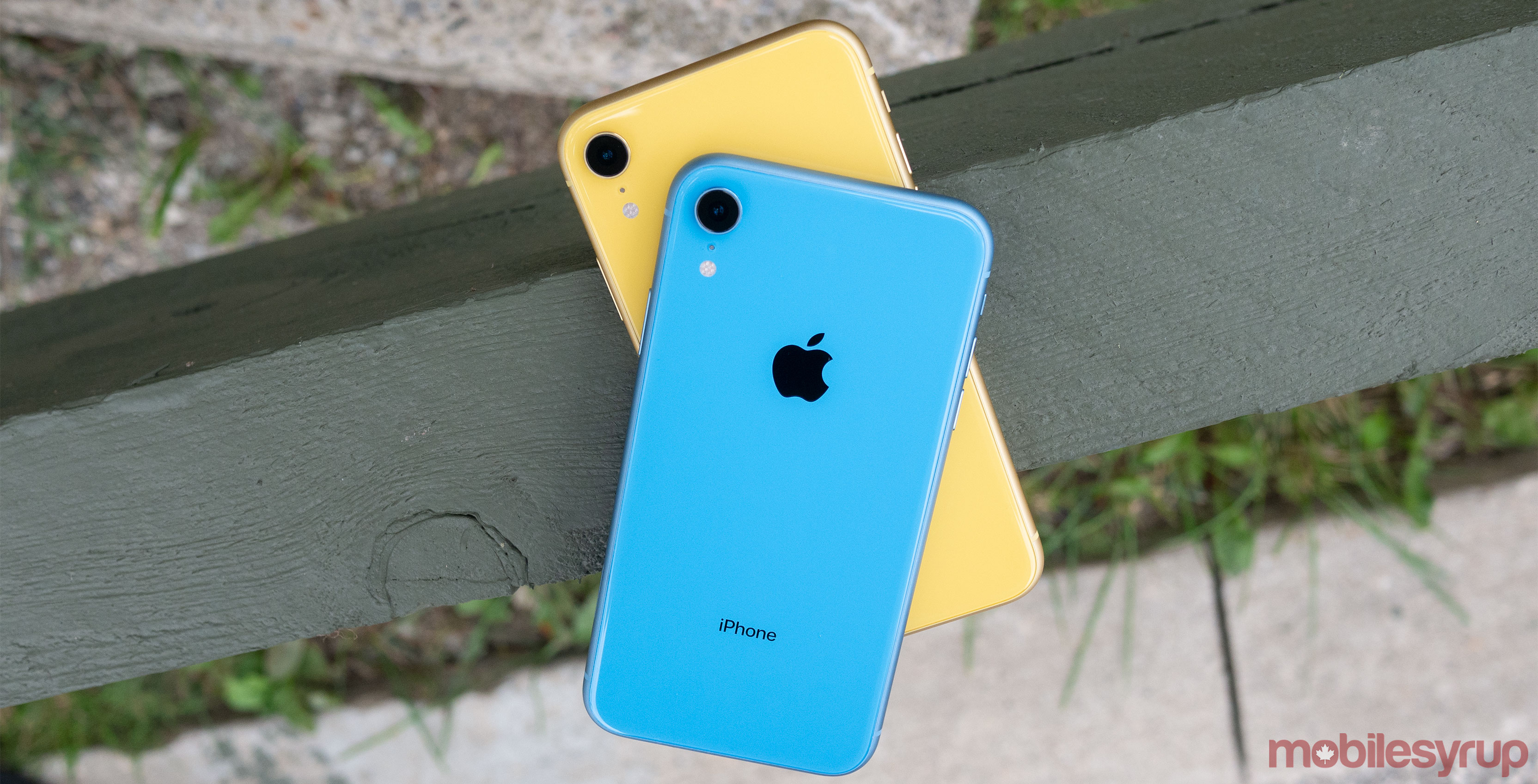 iPhone XR Review Best iPhone for the average Apple user