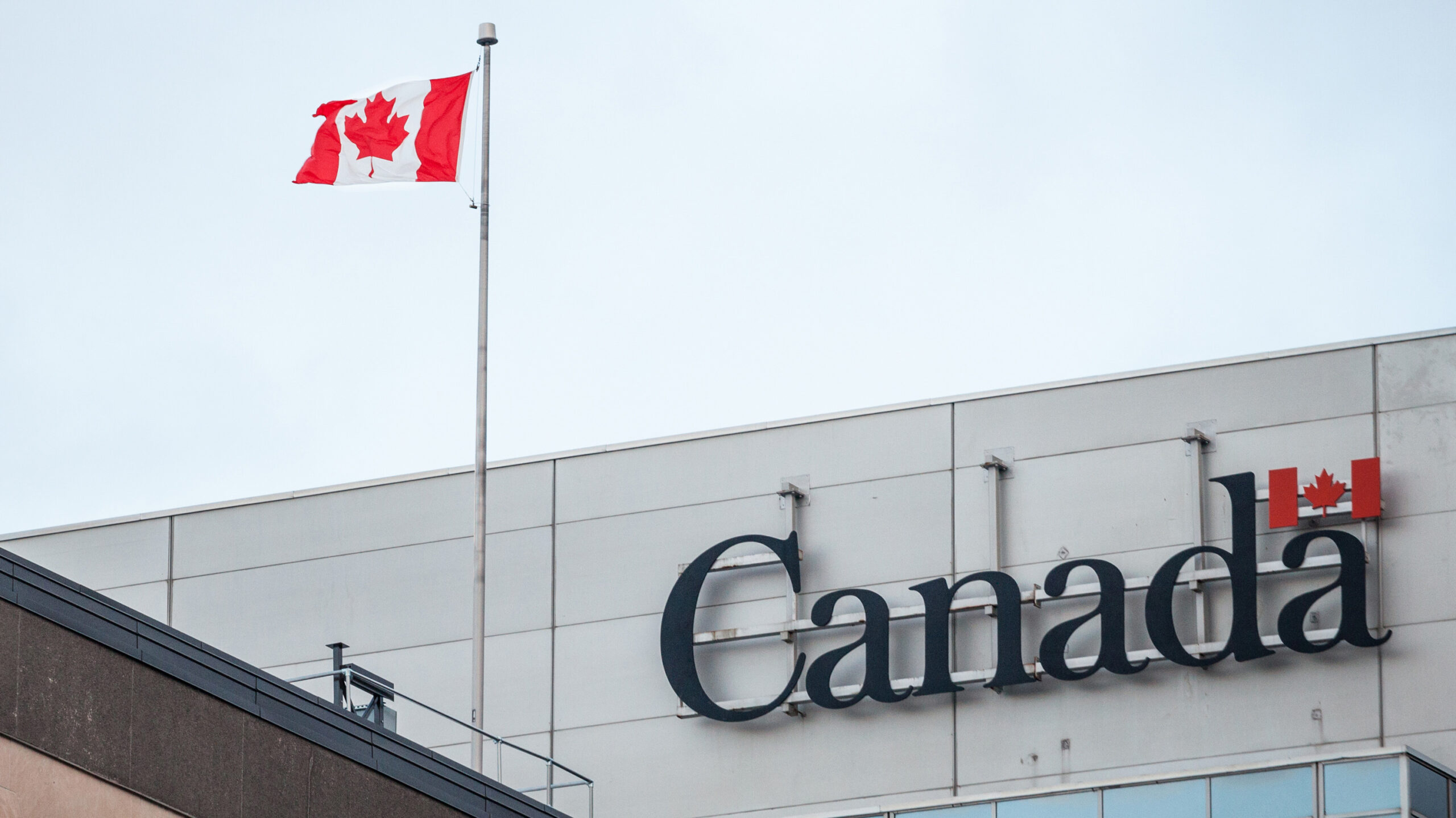 Federal government partners with Cohere to enhance AI capabilities