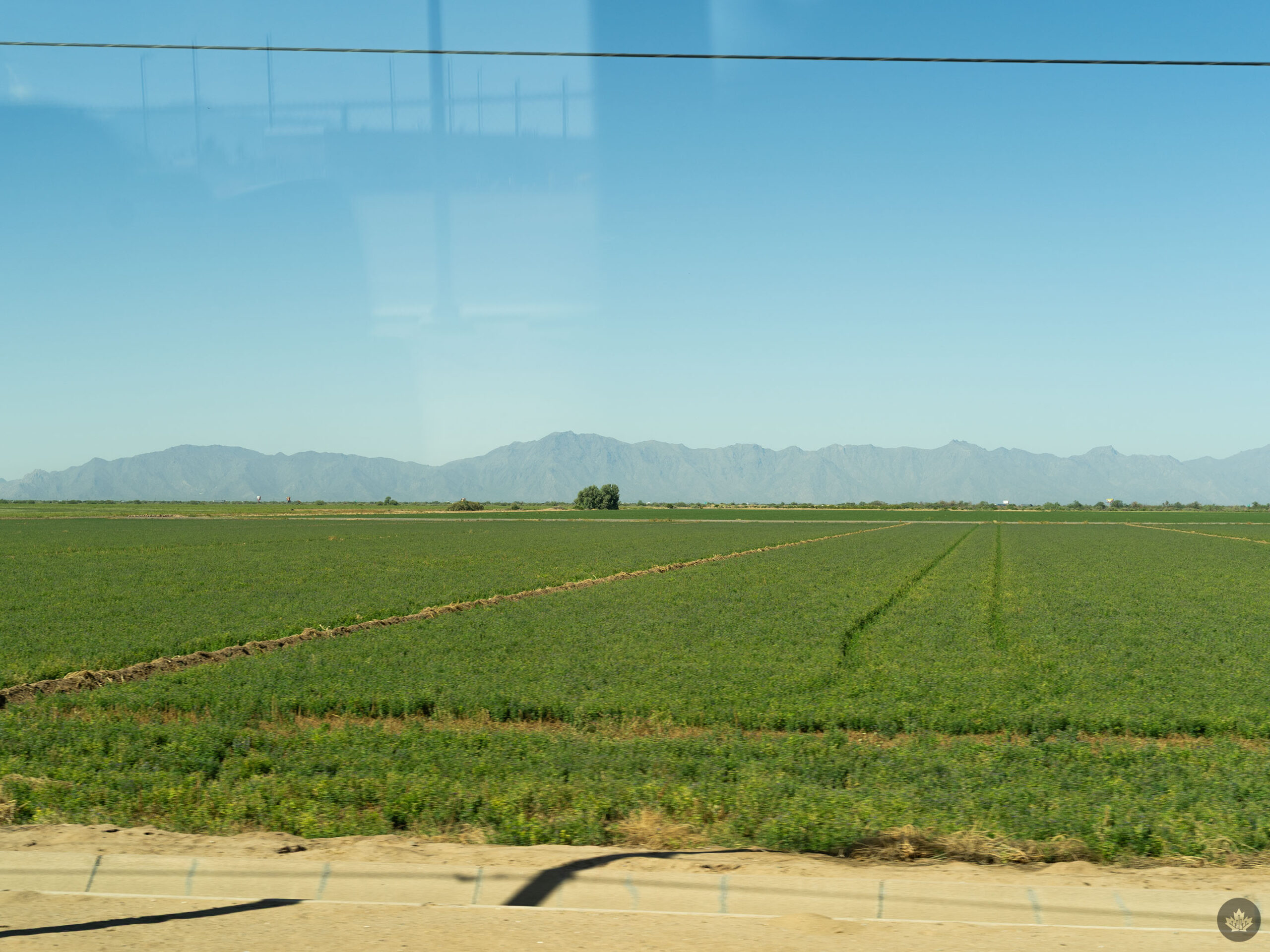 A view of the Sierra Estrella from Intel's Ocotillo campus.