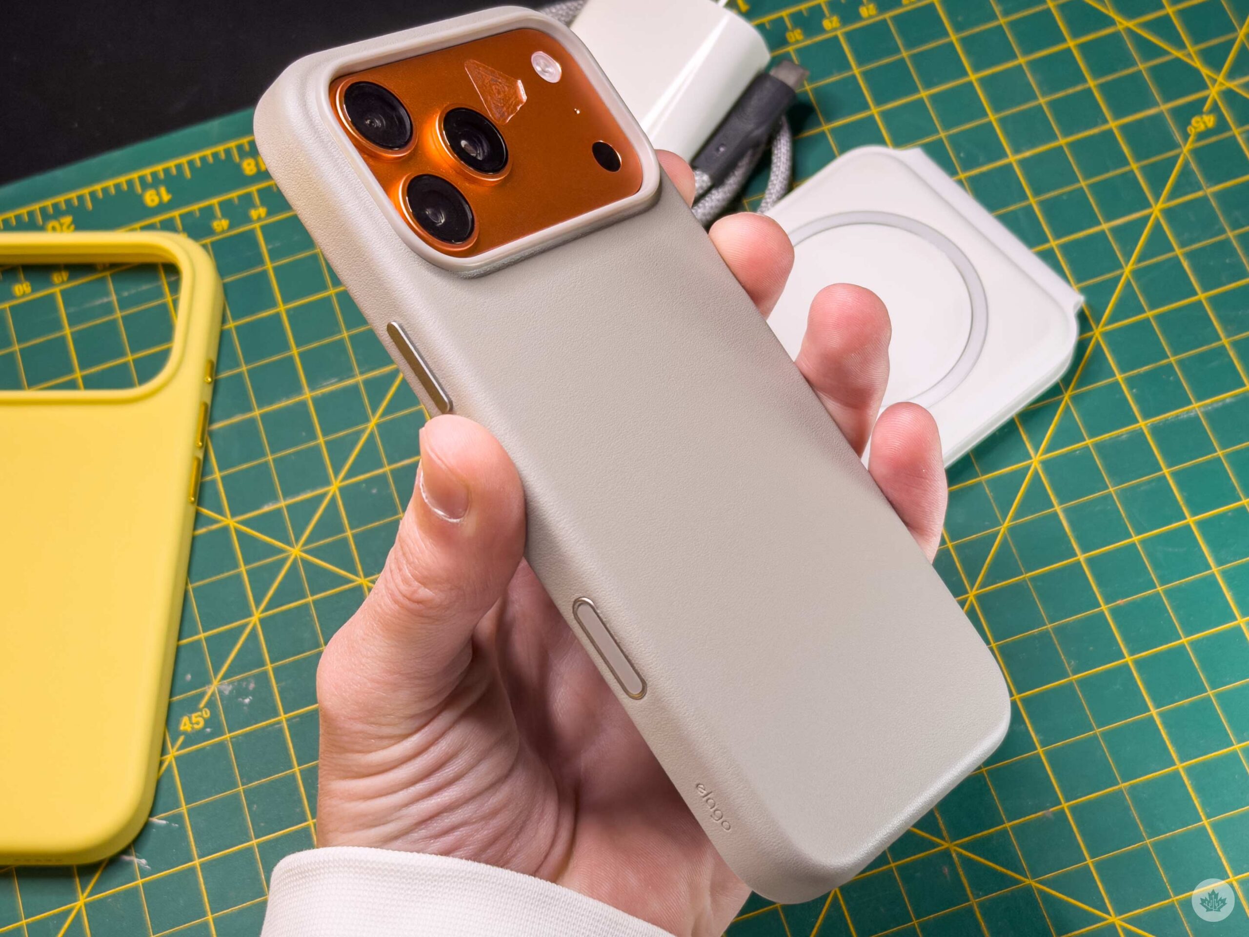 leather case colour corrected scaled